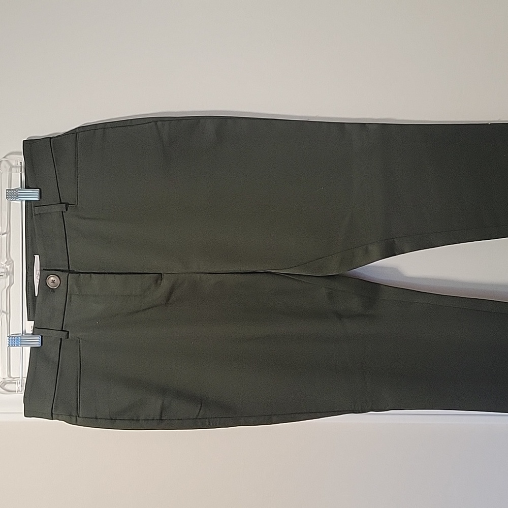 NWT Olive Green Loft Sutton Skinny Pants - size 10